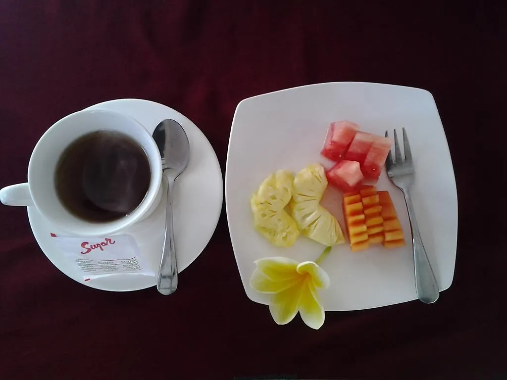 Brata Inn Ubud Pensionat
