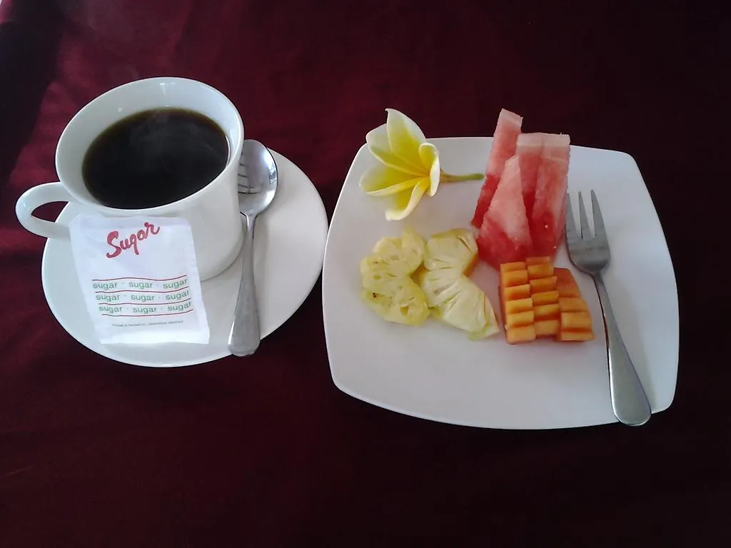 Pensionat Brata Inn Ubud